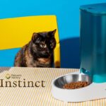 Instinct Cat Food Review