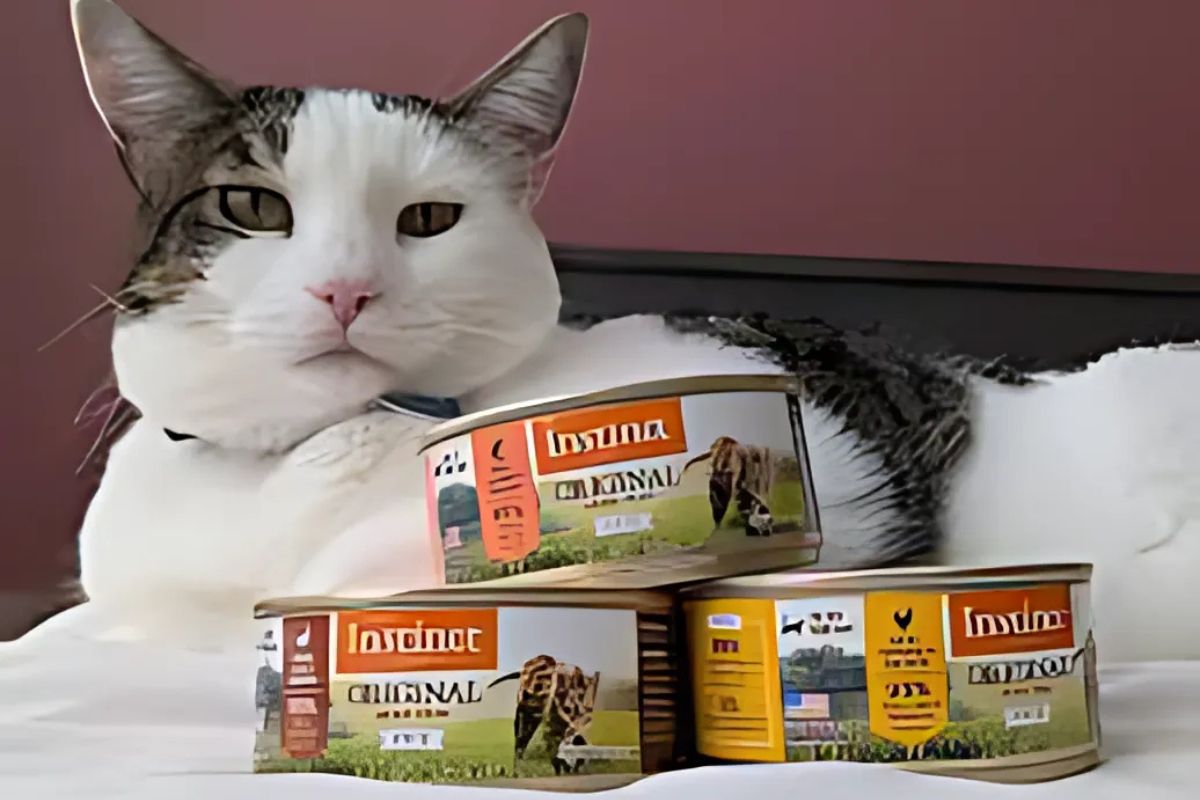 Instinct wet cat food reviews online