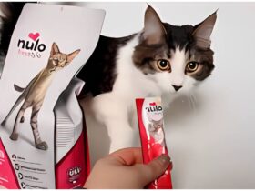 Nulo Cat Food