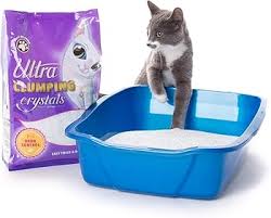 Blue Crystal Kitty Litter: A Cleaner, Fresher Home Solution